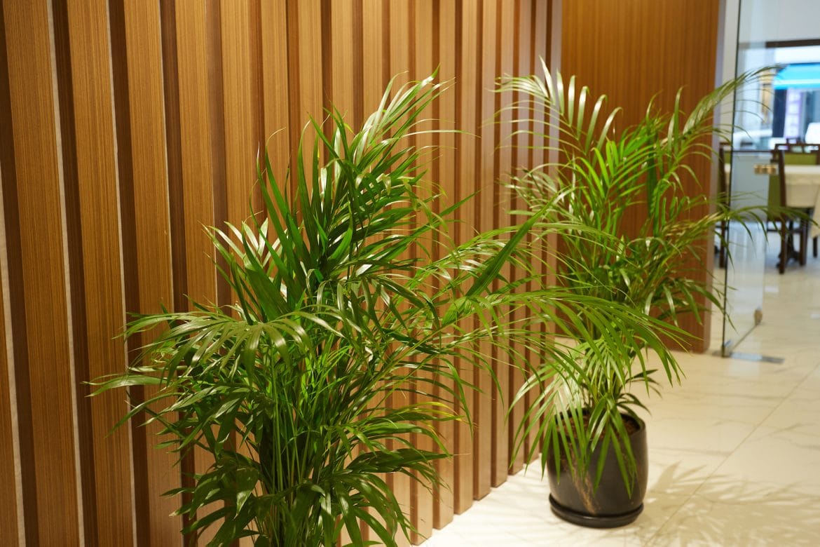 Mira Otel Alsancak Butik Otel Konsepti