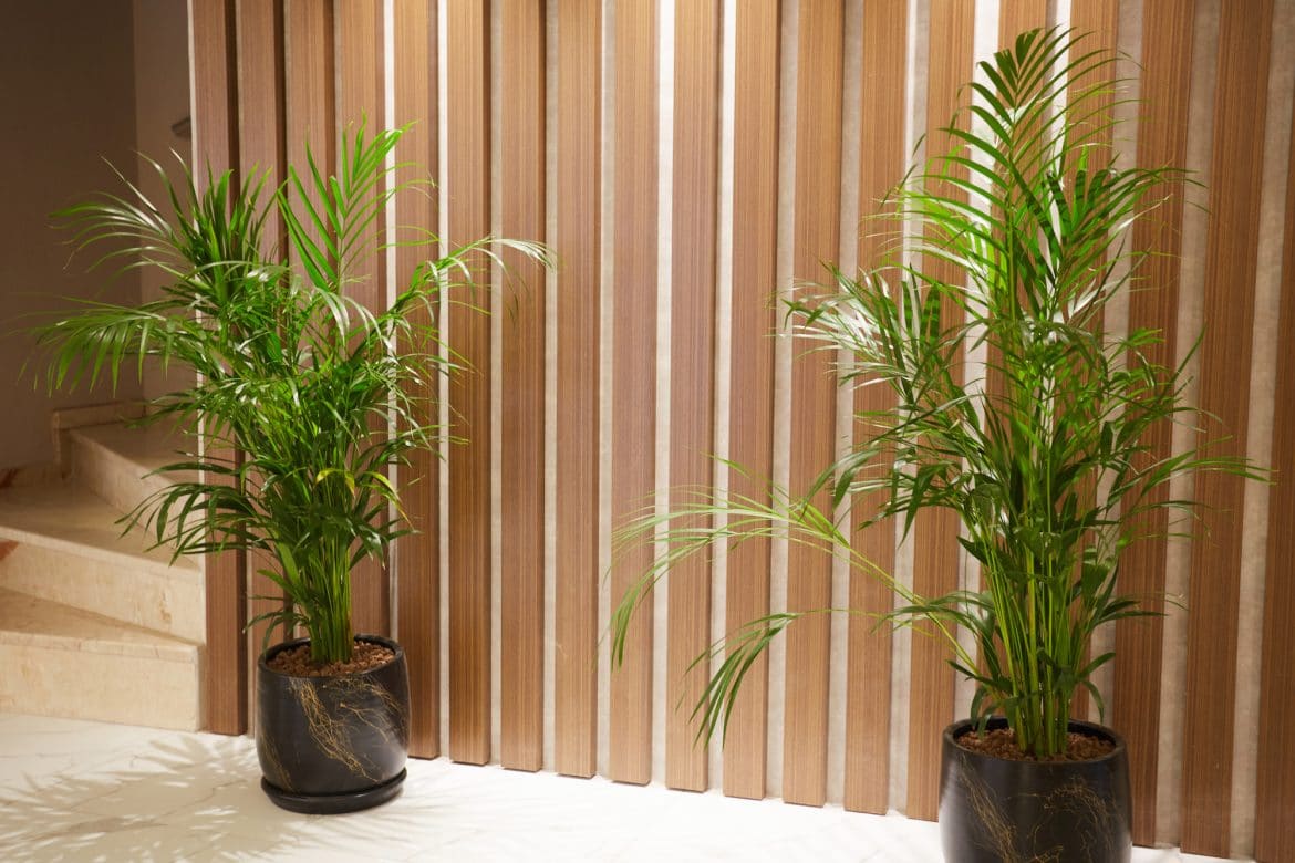 Mira Otel Alsancak Butik Otel Konsepti